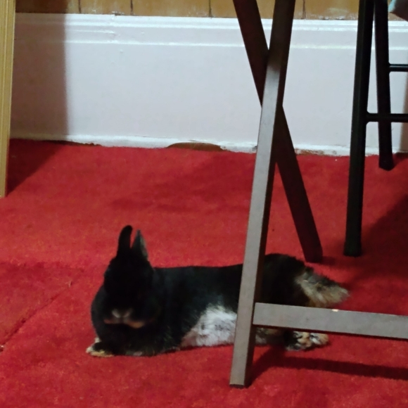 Like this post for when I go live and share - Picture 2 of 4